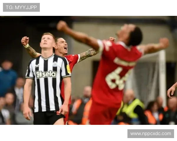 努涅斯：从潜力股到主力轮换的生涯阶段解析