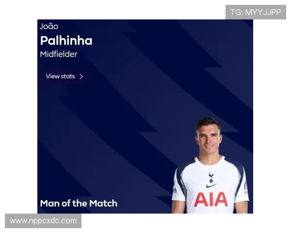 帕利尼亚英超抢断表现解析