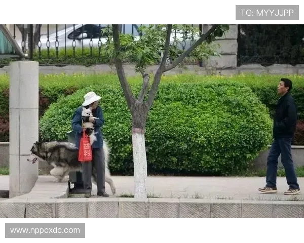张楠退役后住进北京四合院，每天打太极遛狗，网友：这哪是运动员，分明是隐退大佬